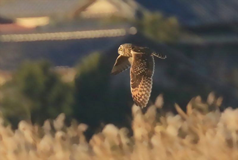 �R�~�~�Y�N