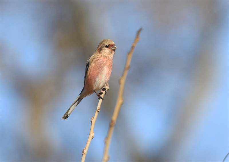 �x�j�}�V�R