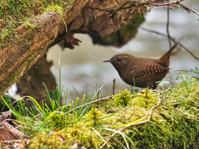 �~�\�T�U�C