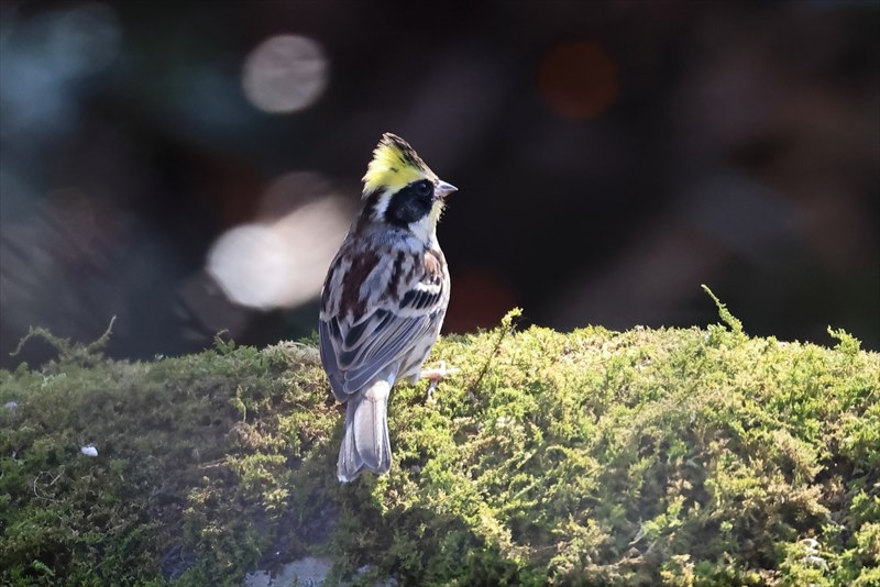 �~���}�z�I�W����