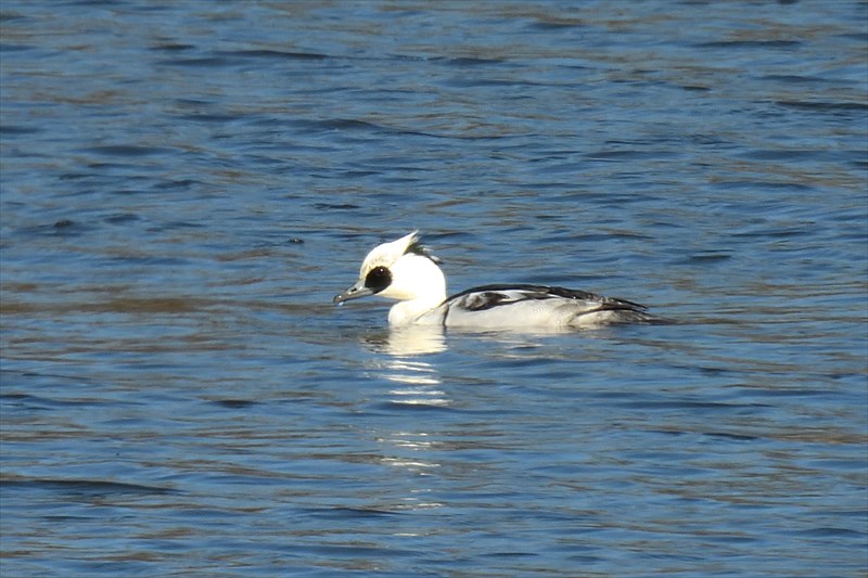 �~�R�A�C�T��