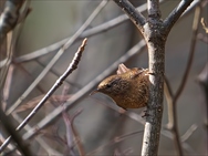 �~�\�T�U�C