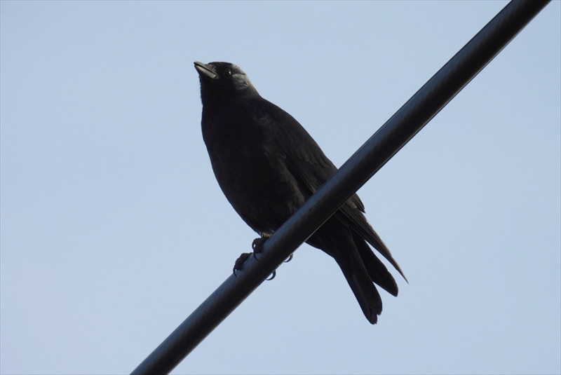 �R�N�}���K���X