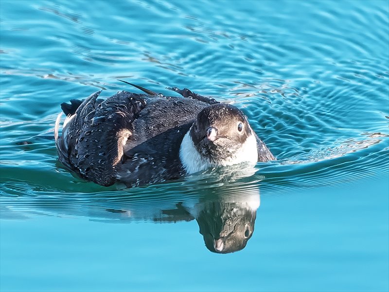 �E�~�X�Y��