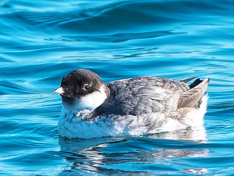 �E�~�X�Y��