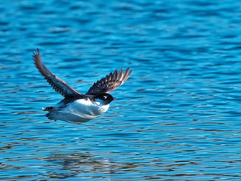 �E�~�X�Y��