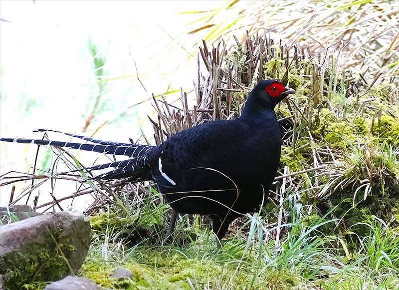 �~�J�h�L�W�i�I�X�j