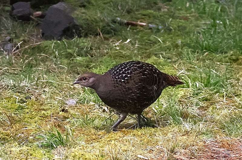 �~�J�h�L�W�i���X�j