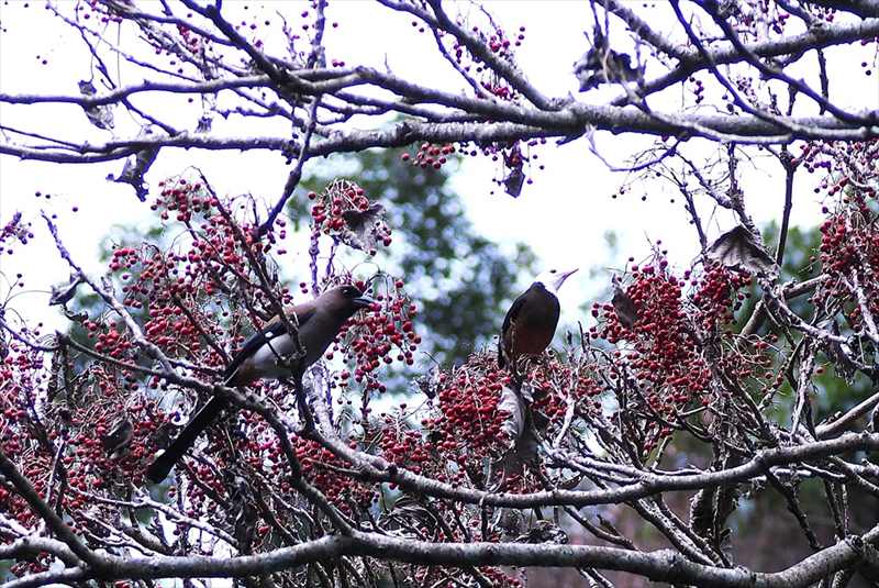 �^�C�����I�i�K���^�C�����c�O�~