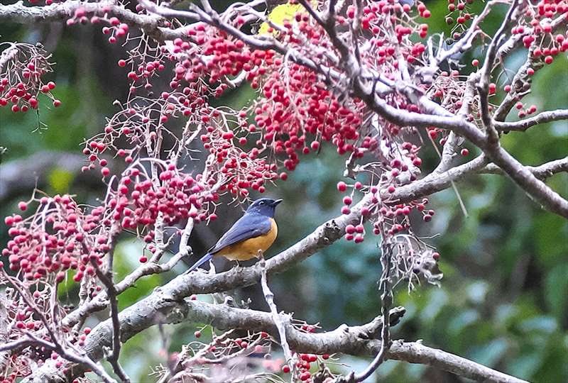 �`���o���I�I����