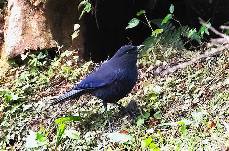 �����`���E