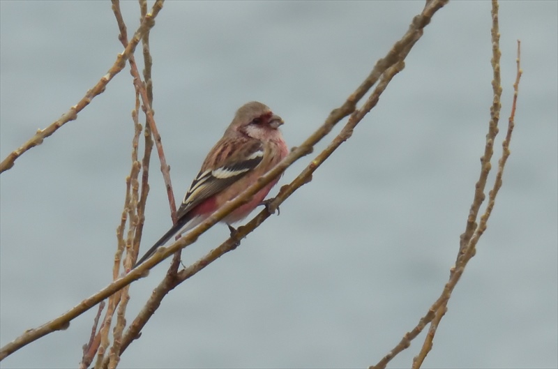 �x�j�}�V�R��