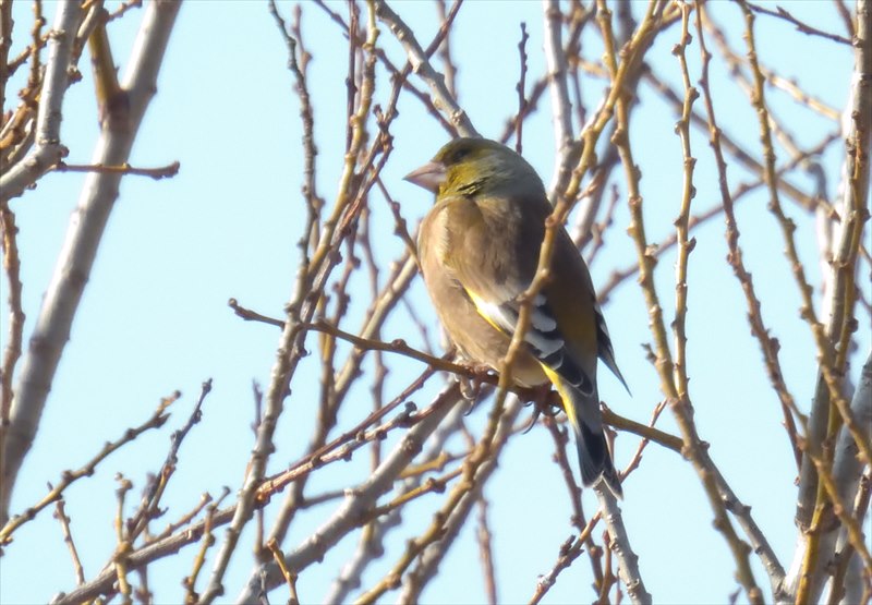 �I�I�J�����q��