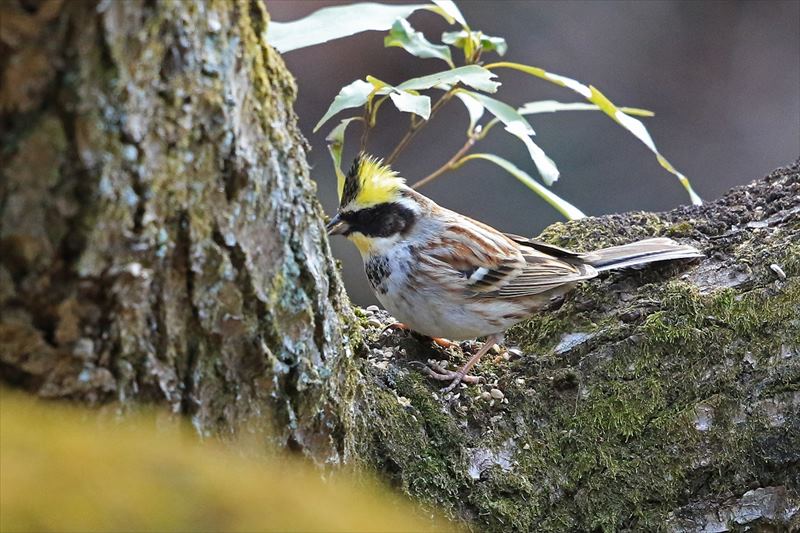 �~���}�z�I�W��