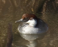 �~�R�A�C�T