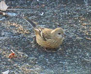 �x�j�}�V�R