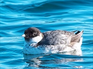 �E�~�X�Y��