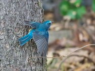 �����r�^�L��