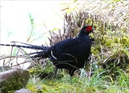 �~�J�h�L�W�i�I�X�j