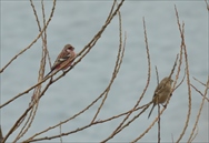 �x�j�}�V�R����