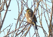 �I�I�J�����q��