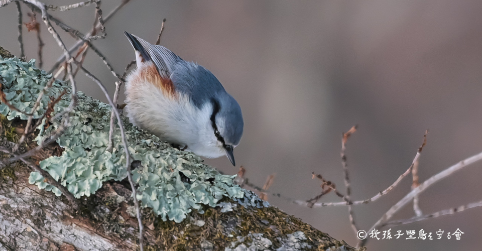 ������e�ʐ^