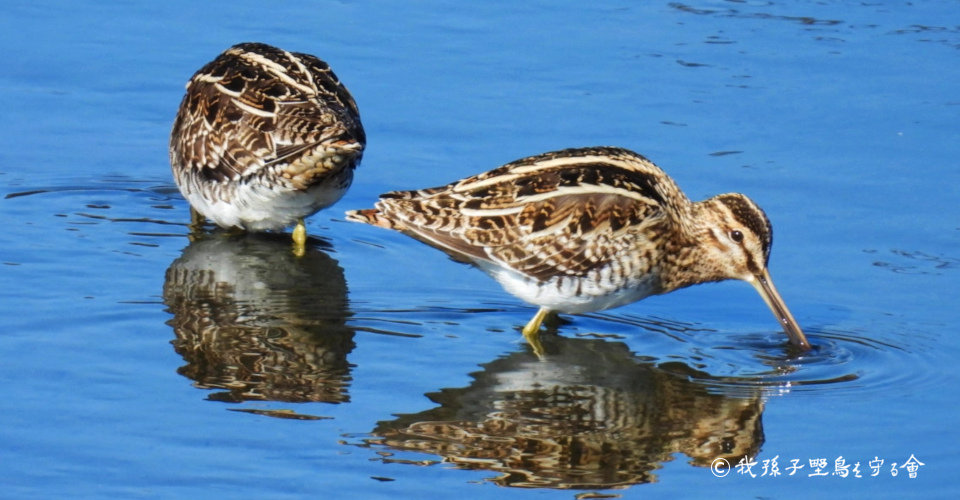 ������e�ʐ^