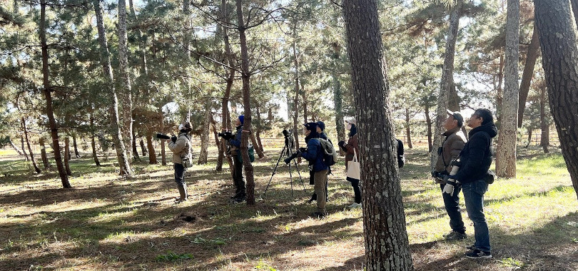 �T�����i