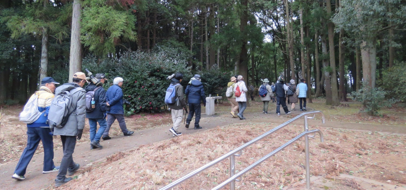 �T�����i